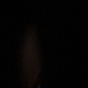 Meet your Posher, Kayden